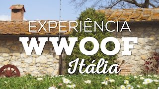 Trabalhando sob o sol da Toscana - WWOOF Itália - Jornada Viva