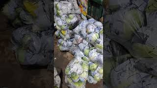 PACKS PACKS OF CABBAGE IN THE MARKET #shortsviral