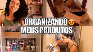 ORGANIZANDO TODOS MEUS PRODUTOS DE CABELO!!! | Ludmila Reis