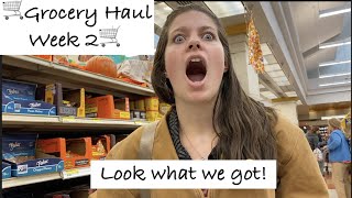 🛒Large Family Grocery Haul--week 2!🛒