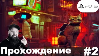 Прохождение Stray. Часть 2