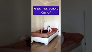 ЛАЙФХАК СУПЕР 😊Как во сне не упасть с кровати 😊 #short #TikTok