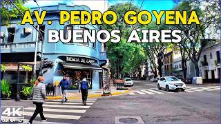 【4K】La AVENIDA MAS COTIZADA de CABALLITO - Avenida PEDRO GOYENA | Buenos Aires Walk