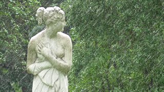 Венера под тропическим ливнем в Павловске. Venus under a tropical downpour in Pavlovsk.