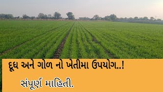 દૂધ અને ગોળનો પ્રાકૃતિક ઈલાજ || organic farming || cow milk and jaggery use in farming.