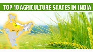 Top 10 Agriculture States in India – Largest Crop Producing States! #K16talkies