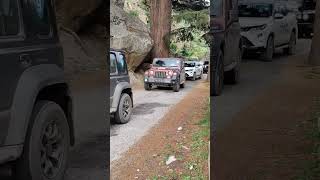 Travelling is Medicine Of life l  #youtubeshorts #cars #shorts