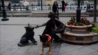 SzuperKutyás flashmob werkfilm