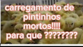 Não é fácil não. Ser motorista de caminhão é para quem gosta! e não para quem quer.