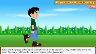 Sci5 Topic 2.3 Bones and Joints in Human Body