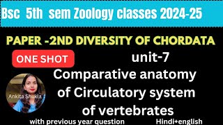 BSc 5th sem zoology P2 class|Comparative anatomy of Circulatory system of vertebrates|with pyq