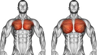 Chest workout , all push-up exercises at home