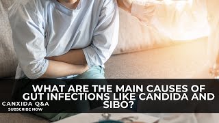 Dietitian Answers: What Are The Main Causes of Gut Infections like Candida and SIBO?