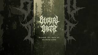 Burial Oath - Beyond the Vale of Shadowlands is getting a rerelease! #blackmetal #cassette #metal