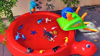 AQUATIC ANIMALS FOR KIDS: NAMES AND VIDEOS - SEAHORSE, CRAB, SEA LION, DOLPHIN, AND OTHERS