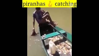 piranhas catching#shorts #fishing #fish