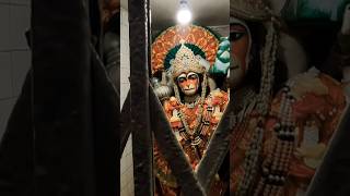 check out my Mata Vaishno Devi Vlog 🙏 jai mata dii