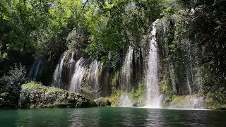 Relaxing Waterfalls in 4k #shorts