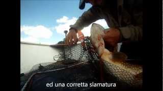 Catch and Release tutorial for Pike