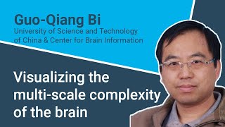 Guo-Qiang Bi - Visualizing the multi-scale complexity of the brain - Monday Colloquium Oct 11, 2021