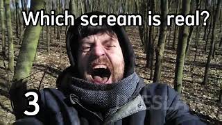 Which scream is real? Adrian Nowak Żalno