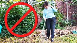 Why You Shouldn't Rake Leaves