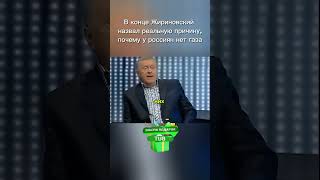 Жириновский рассказал, почему в России нет газа