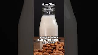 How To Make Dairy-Free Milk At Home?