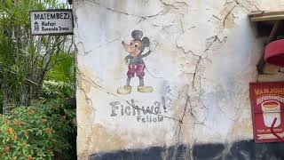 Disney's Animal Kingdom Harambe Market - Waving "Fichwa" Hidden Mickey Walt Disney World