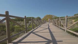 Cyclist Moving Towards The Camera On A Wooden Path