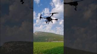 Pamuklara insektisit ve yaprak gübresi uygulaması (DJI Agras T10)