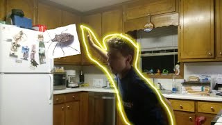 I murdered a stink bug caught on camera (lol)