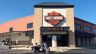 NEW 2017 H-D® Motorcycles & MORE at Hall's