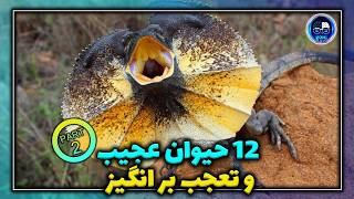 این ویدیو با 12 حیوان عجیب که از دیدنشان تعجب می کنید (پارت 2)