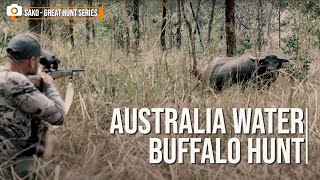 Australia Water Buffalo Hunt with Remi Warren