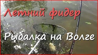 Рыбалка, кофеёк и странный карась. Фидер на реке летом.