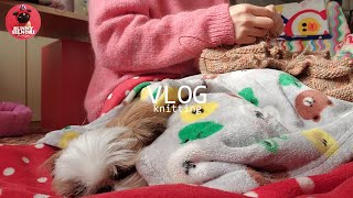 [뜨개하며독서 vlog-30] 뜨고풀고뜨고풀고 뜨개는 이맛이지요ㅣ뜨개 중심적 생활ㅣWIPㅣ뜨개로그ㅣ knittingㅣ1인1견가구ㅣ일상 ㅣ뜨개에도른자 ㅣ강아지뜨개옷 ㅣ시츄강아지