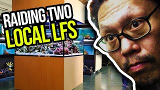 Raiding LFS! - Age of Aquariums and Nautilis Tropical Fish