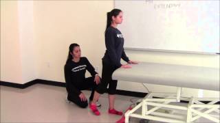 Standing Hip Extension