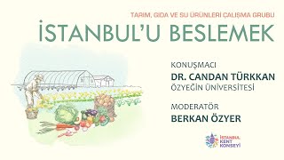 İstanbul'u Beslemek