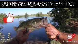 FROGGIN FOR MONSTERBASS