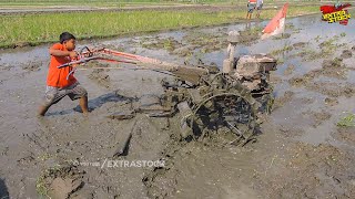 Mumpung Libur Sekolah Joki Bocil Traktor Bantuin Bapak Bekerja