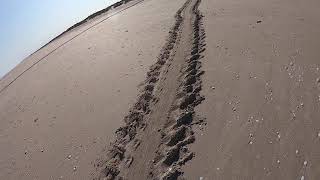 Turtle Nest And Track At Eighty Mile Beach Western Australia