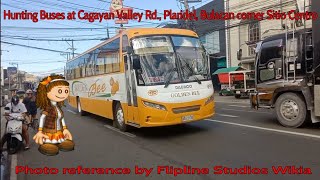 Hunting Buses at Cagayan Valley Rd., Plaridel, Bulacan corner Sitio Centro #23