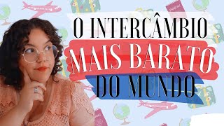 O QUE É AU PAIR? Passo a passo e requisitos para o trabalhar e estudar nos EUA