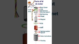 Parts of BL dc motor #shorts