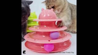 Dooee Circular Ball Track Toy | CatSmart Singapore