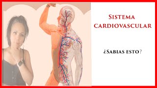 ✅ COMO funciona el SISTEMA CARDIOVASCULAR ❤️| ➕ DATOS CURIOSOS  e INTERESANTES 😳❤️ |  2021