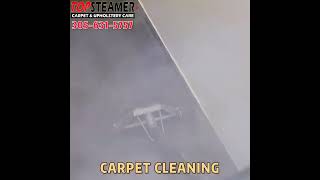 IMPRESSIVE Carpet Steam Cleaning in Miami!