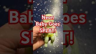 Neon Squishy Baby Goes SPLAT! #shorts #japan #squishy #funny #monkey #funny #baby